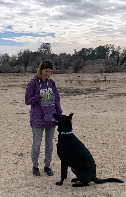 Casey dog training